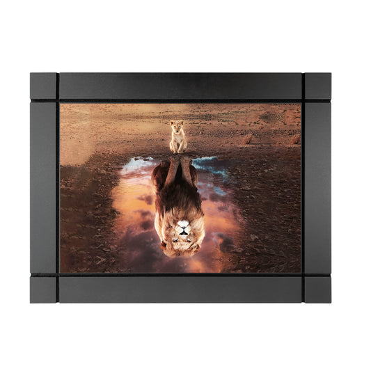 CUADRO DECORATIVO DE MADERA LEON BEBE REFLEJO